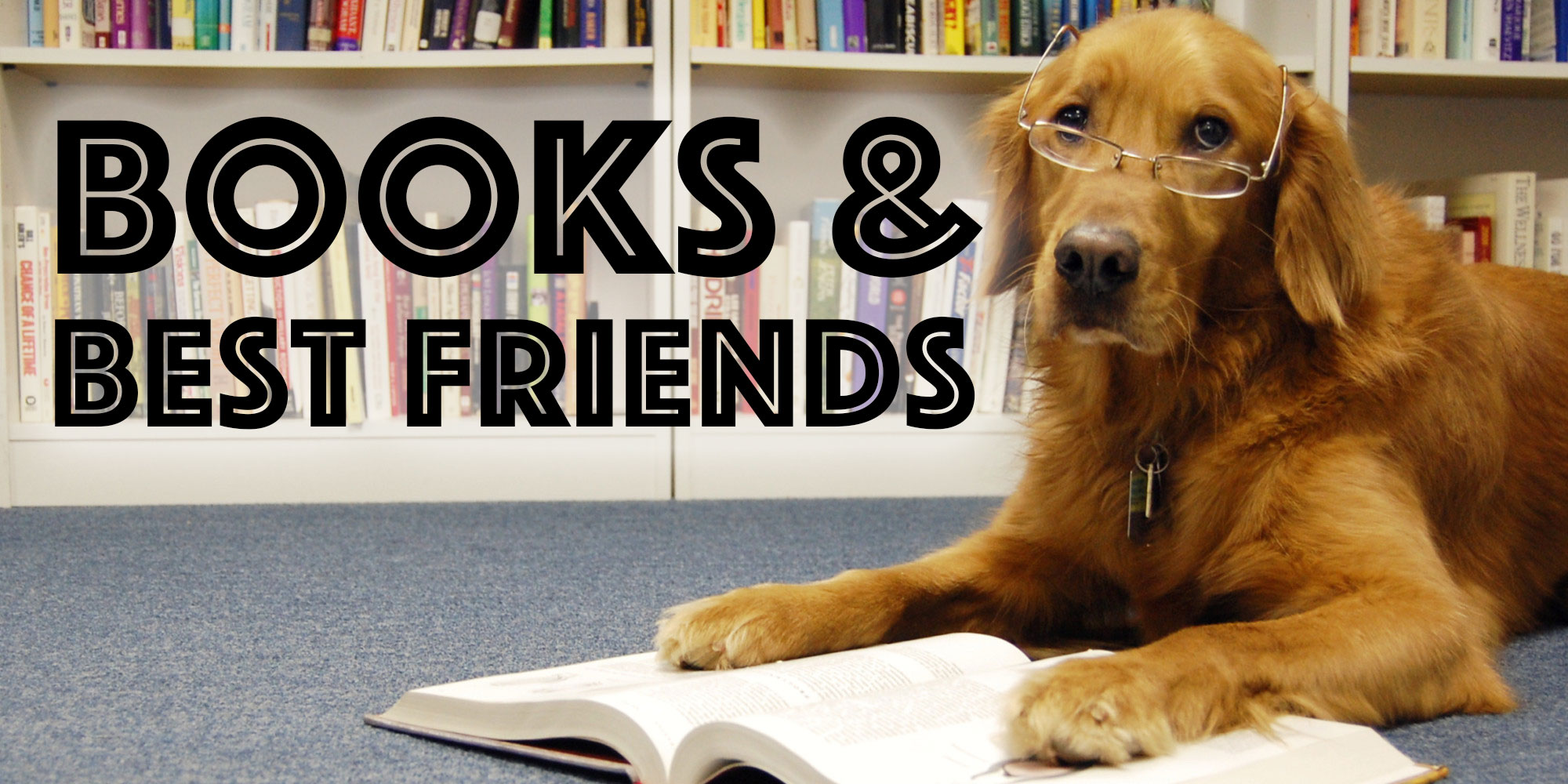 Books and best friends Storytime