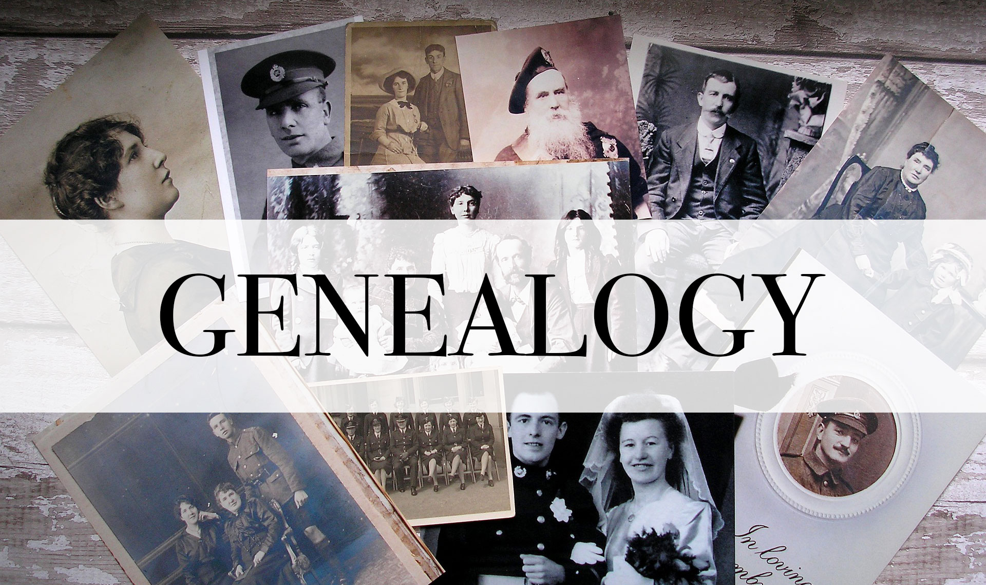 Genealogy feature image