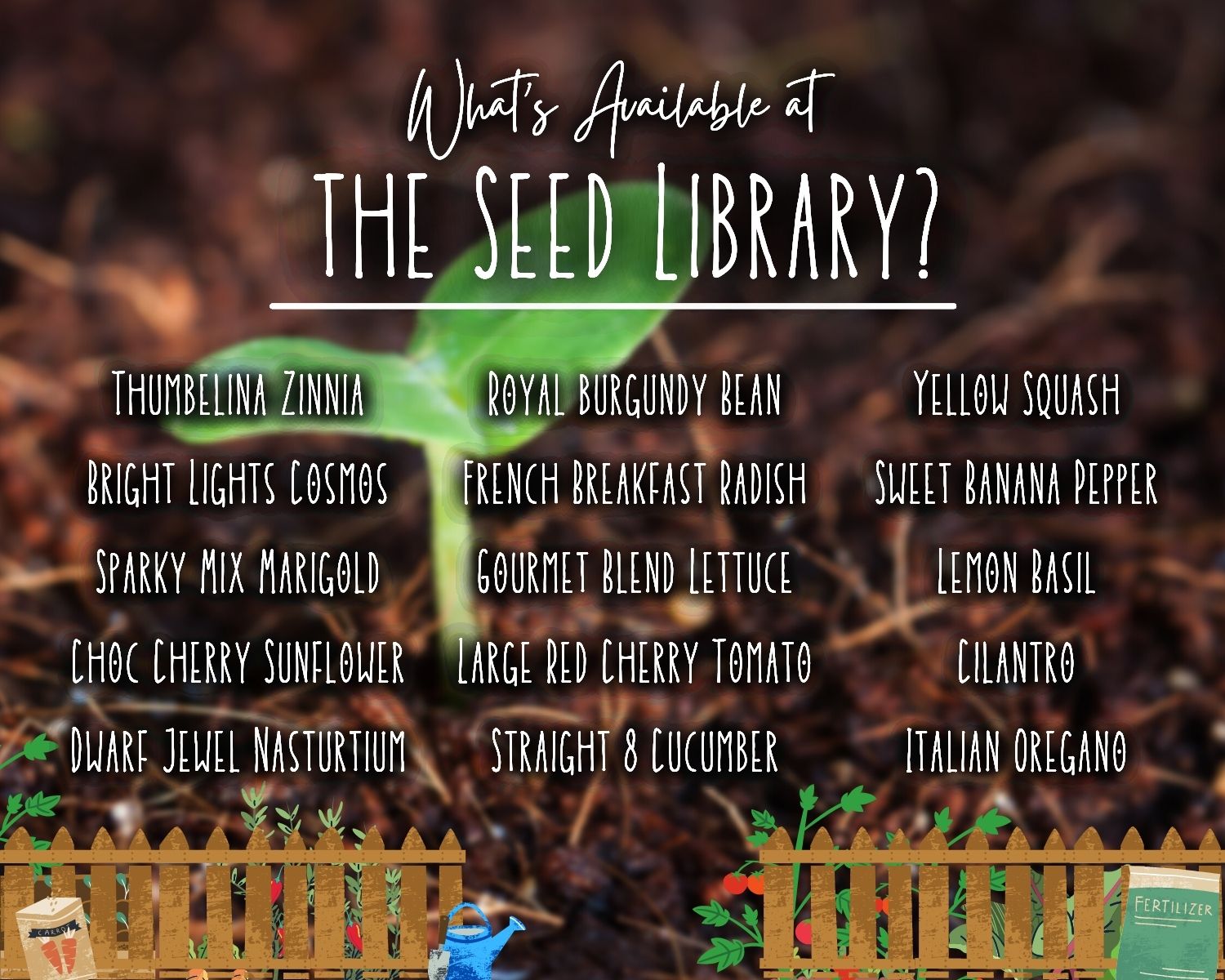 List of Seeds