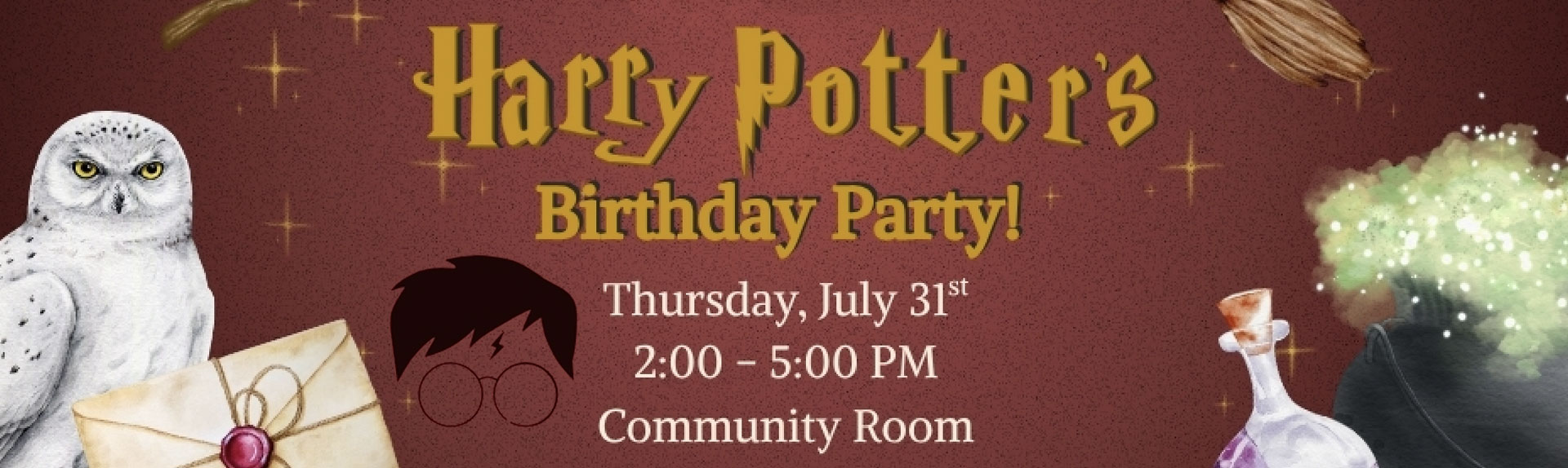 Harry Potter's Birthday Party!