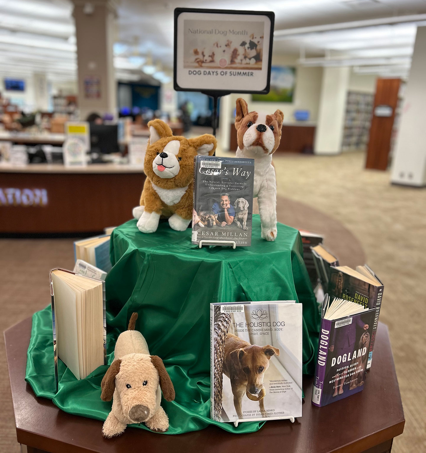 Adult book display