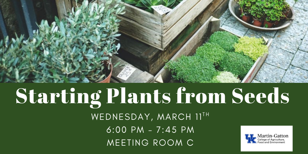 Starting Plants from Seeds