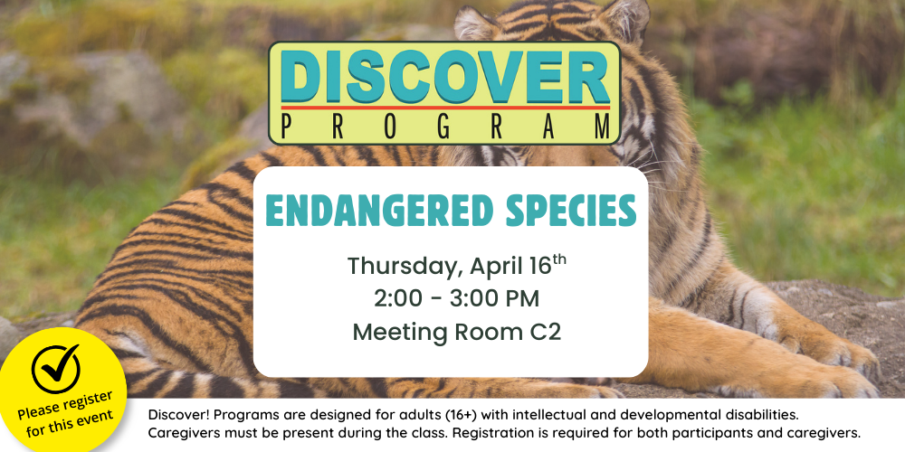 Language Cafe: Evening Session