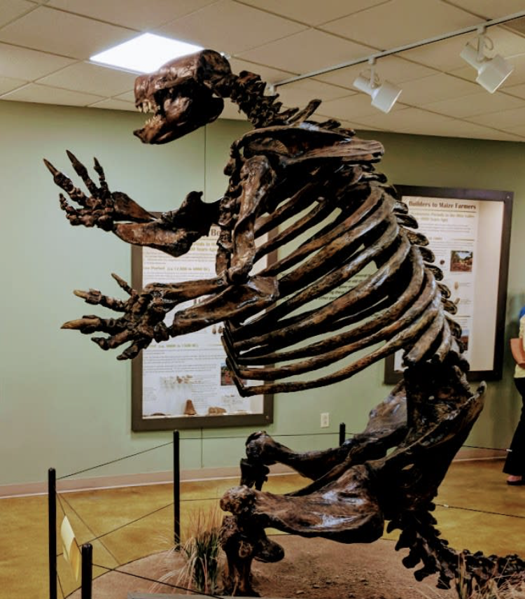 Big Bone Lick State historic site
