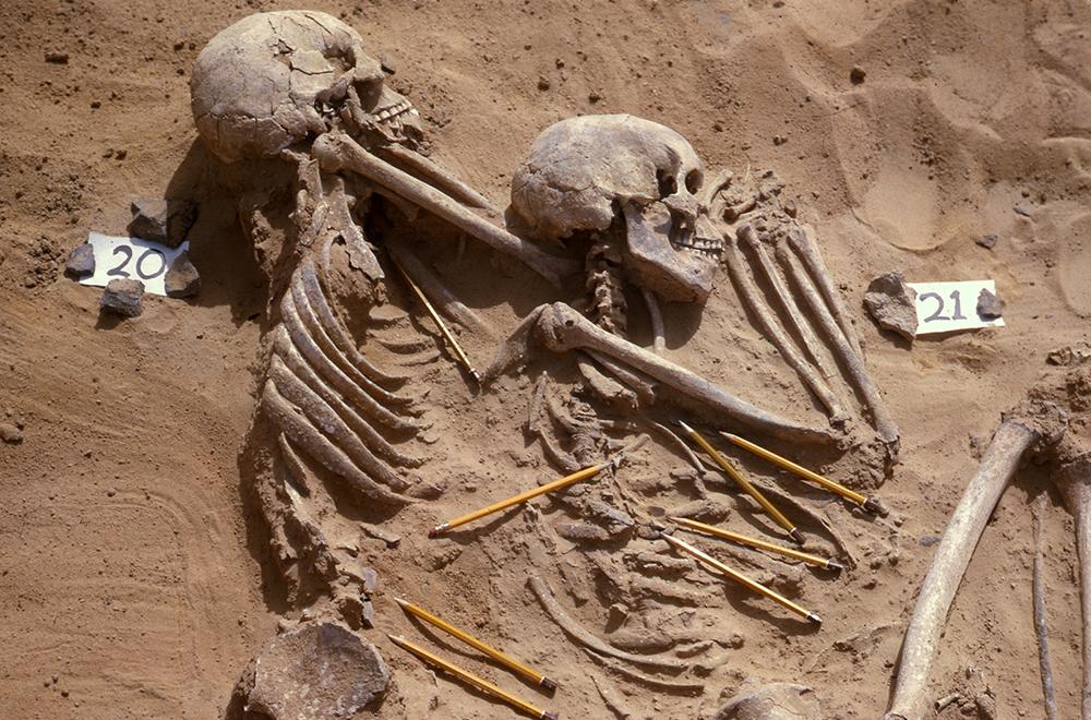 Bioarcheology: What Our Bones Tell Us About Our Past