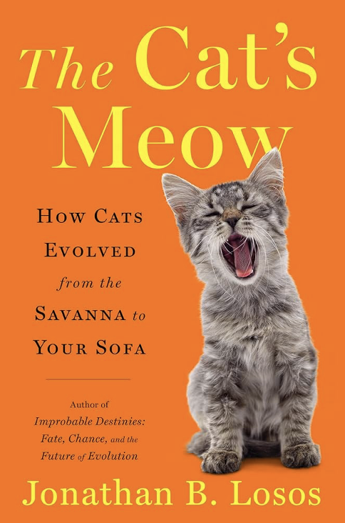 The Cat’s Meow: How Cats Evolved from the Savanna to Your Sofa 