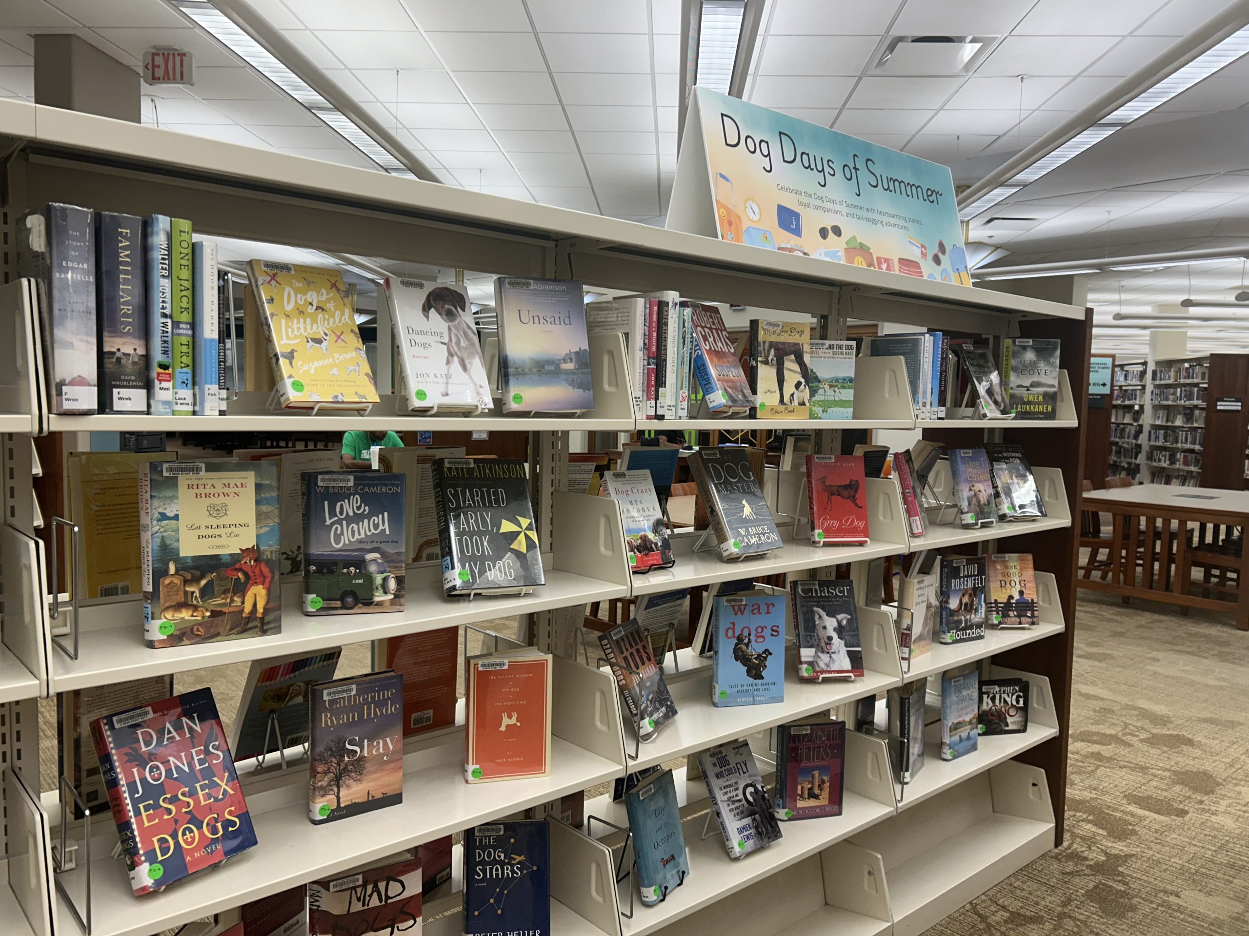 Dog days of summer books