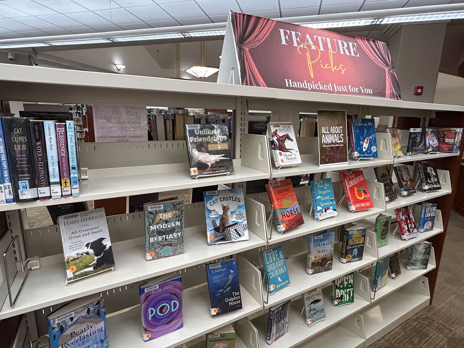 Feature picks for September